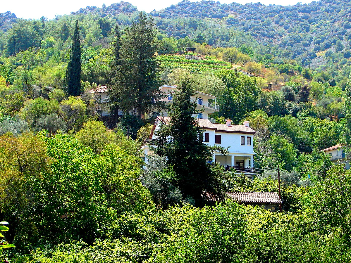 White houses of Askas among cypresses, walnut trees and orchards on the green slope of its valley, in the Pitsilia area of the Troodos