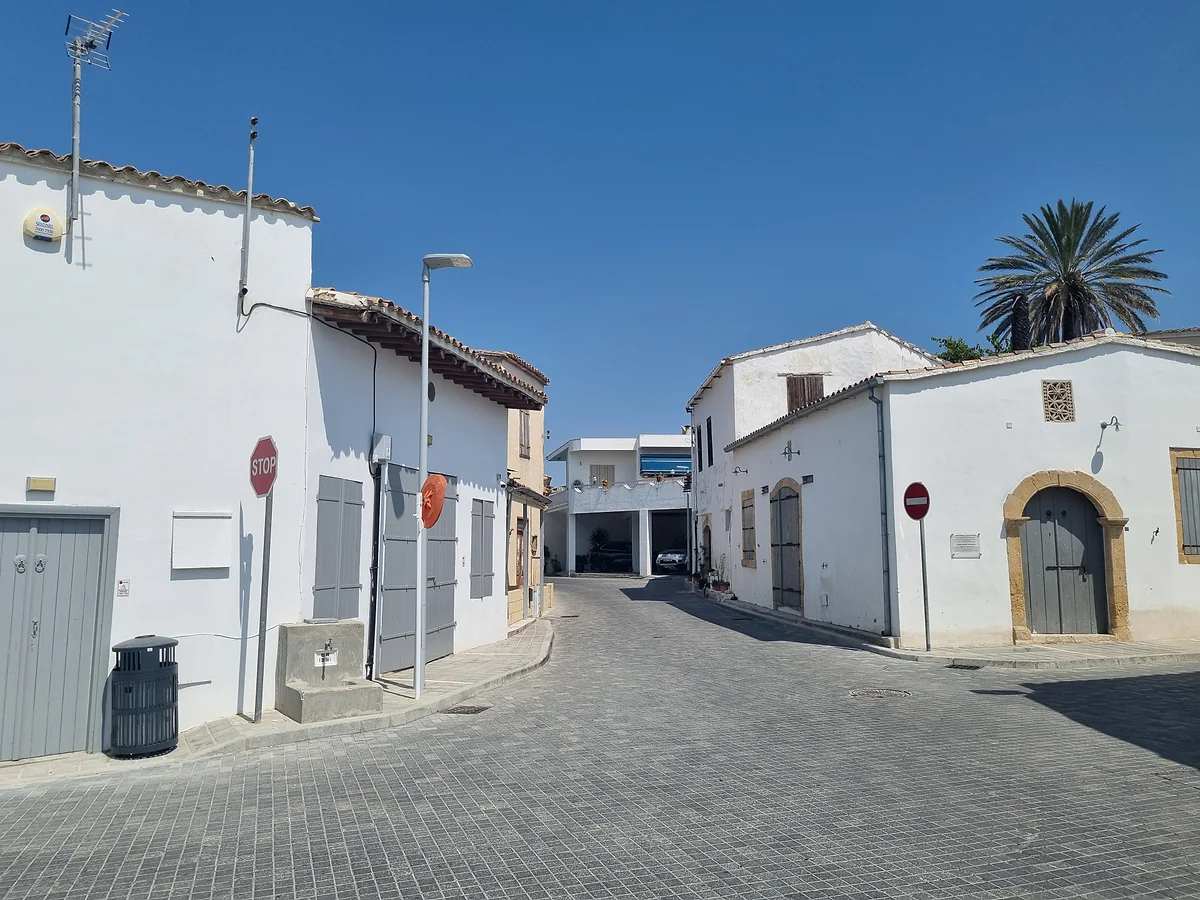A paved street in Athienou with white single-storey houses, a palm tree and an old stone building on one side