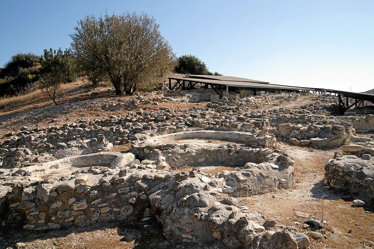 Foundations of circular houses at the Choirokoitia site, with an olive tree behind and the protective roof