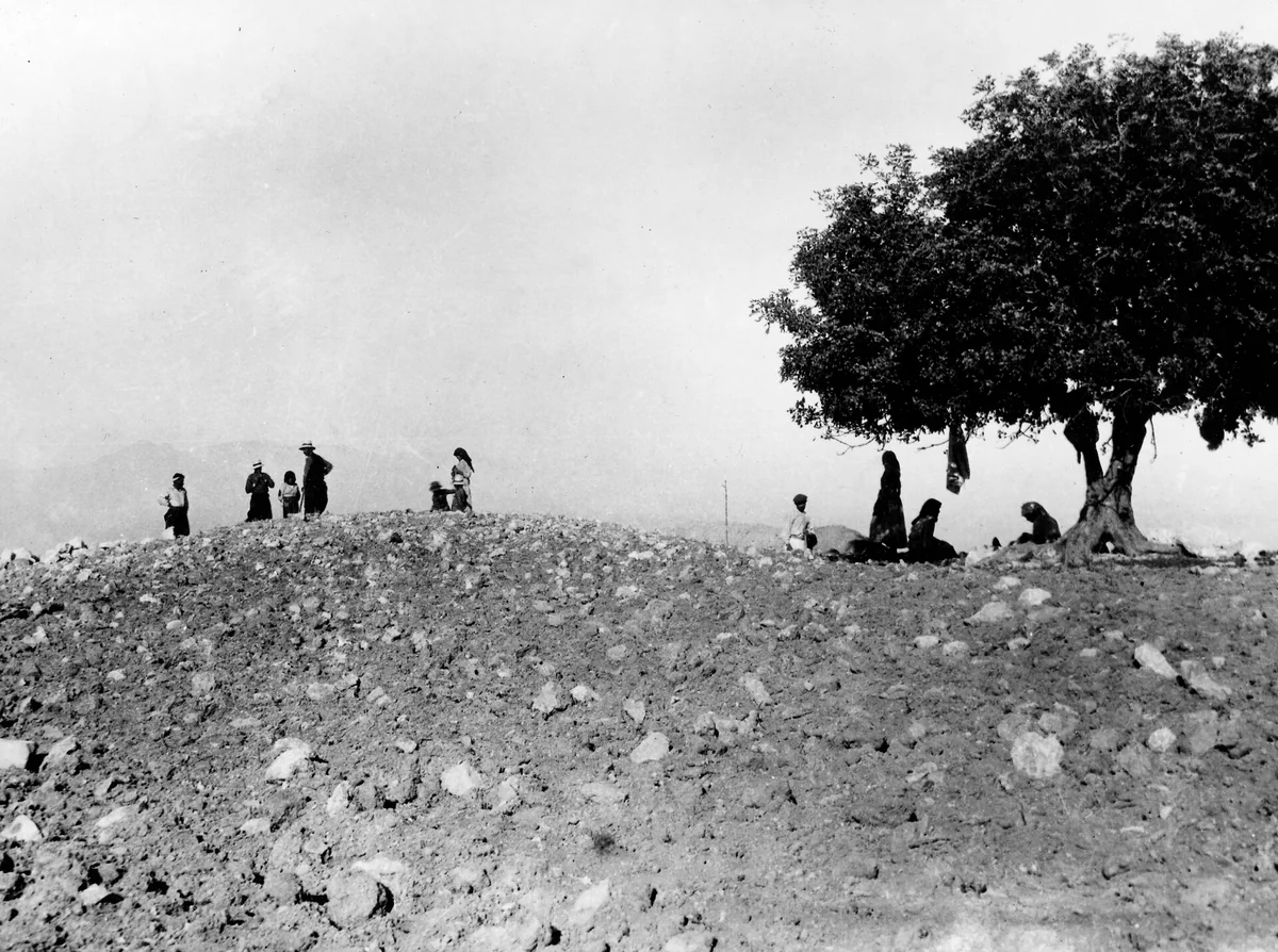 The hill of Vouni Palace before the Swedish dig, with workers on the stony summit beside a lone tree, around 1928