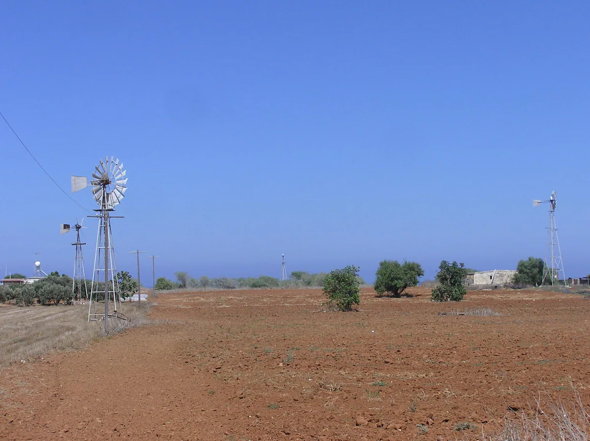 A field of red soil in the Kokkinochoria, with small olive trees and the metal windmills once used to draw water from underground