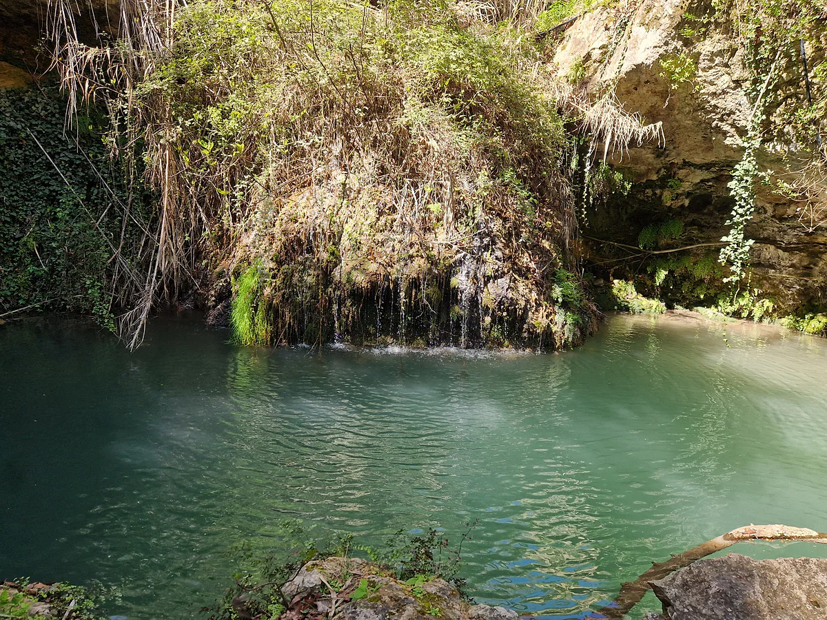 A small waterfall on the Kremmiotis river at Kritou Terra, falling through ferns and moss into a pool of green water
