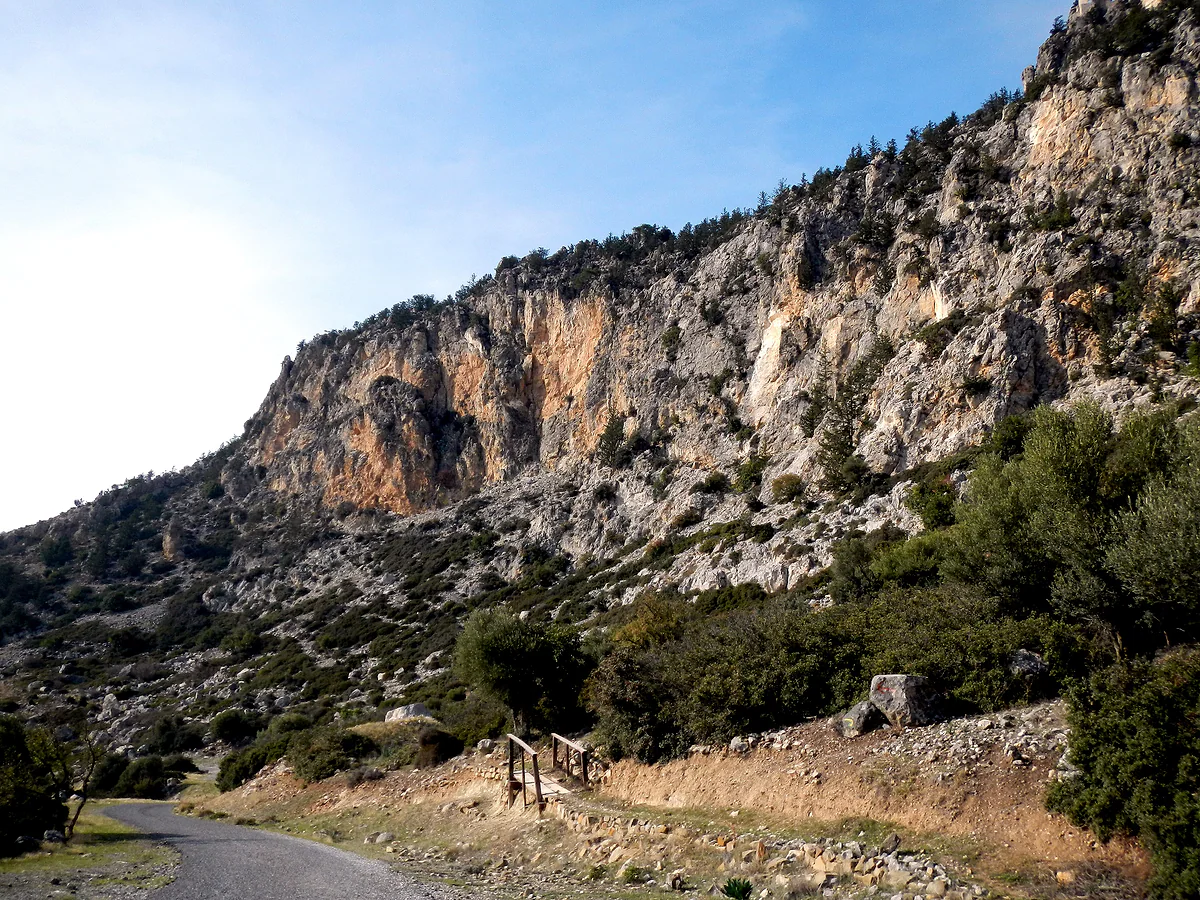 The rocky slopes of the Kyrenia range below Buffavento Castle, with pine trees and the road that climbs up
