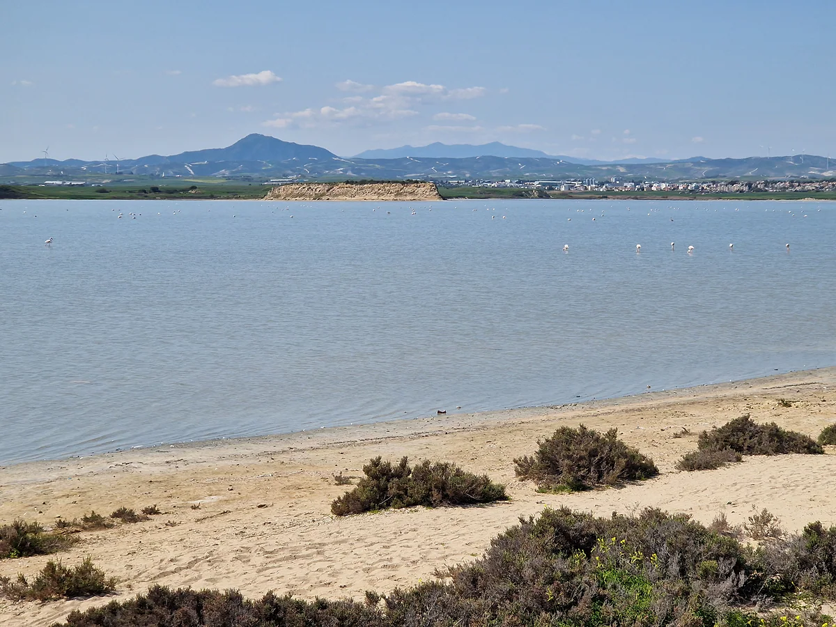 The shore of Larnaca Salt Lake with scrub and sand, calm water and the mountains of the interior in the distance