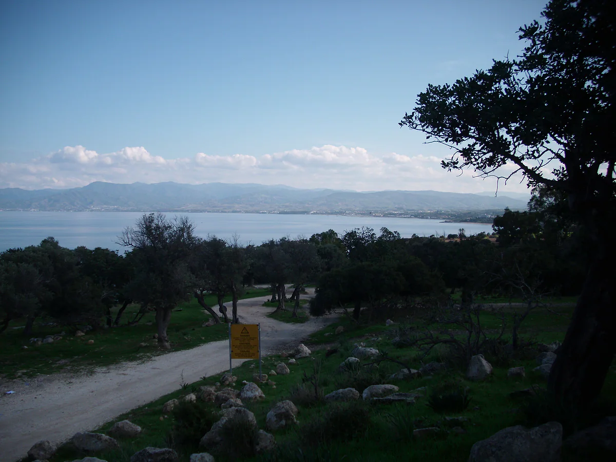 Chrysochou Bay and the Latchi coast seen from above through olive trees, with the Paphos hills in the distance, Cyprus