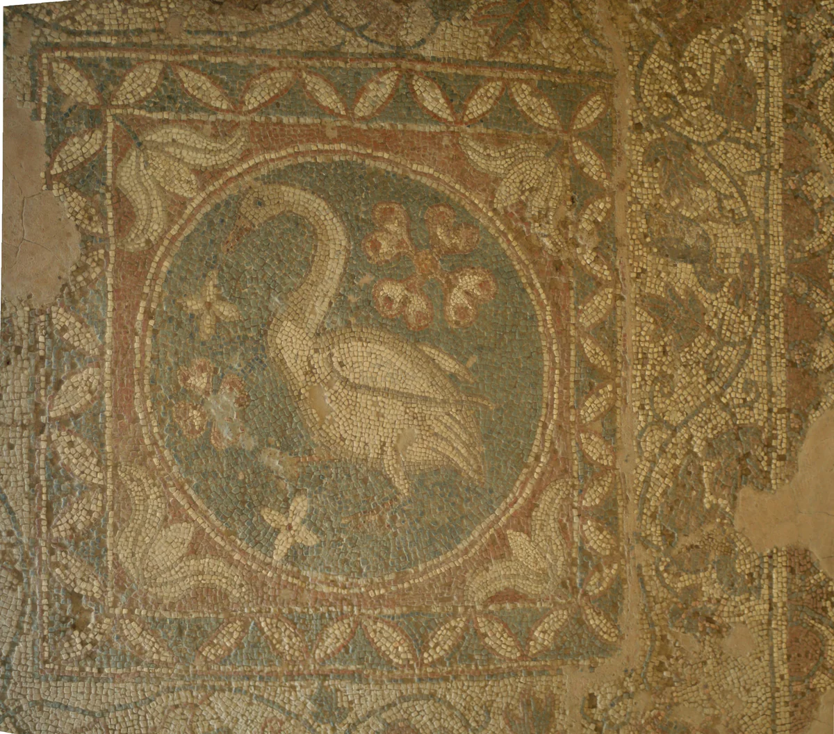 The swan mosaic in the basilica at Soli, the white bird in a roundel framed by flowers and bands of tesserae