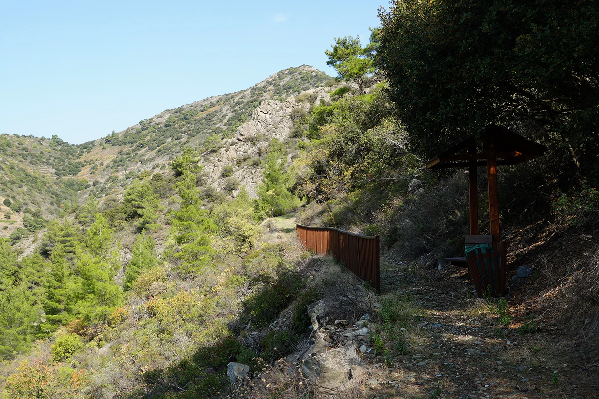 The Gyrillithkia nature trail at Odou, running down through pines and scrub on a hillside in the Larnaca mountains