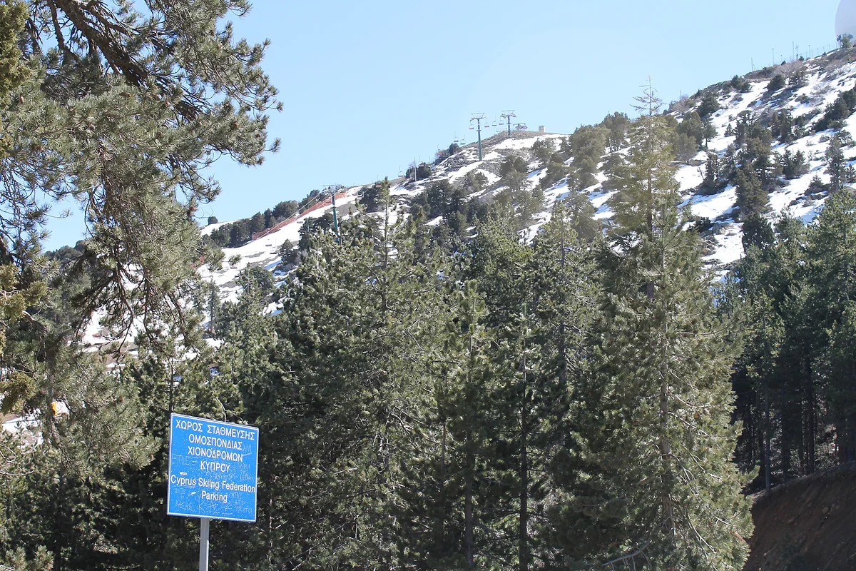 Snow-covered slopes of Mount Olympus in the Troodos Mountains, with the ski area set among pine forest