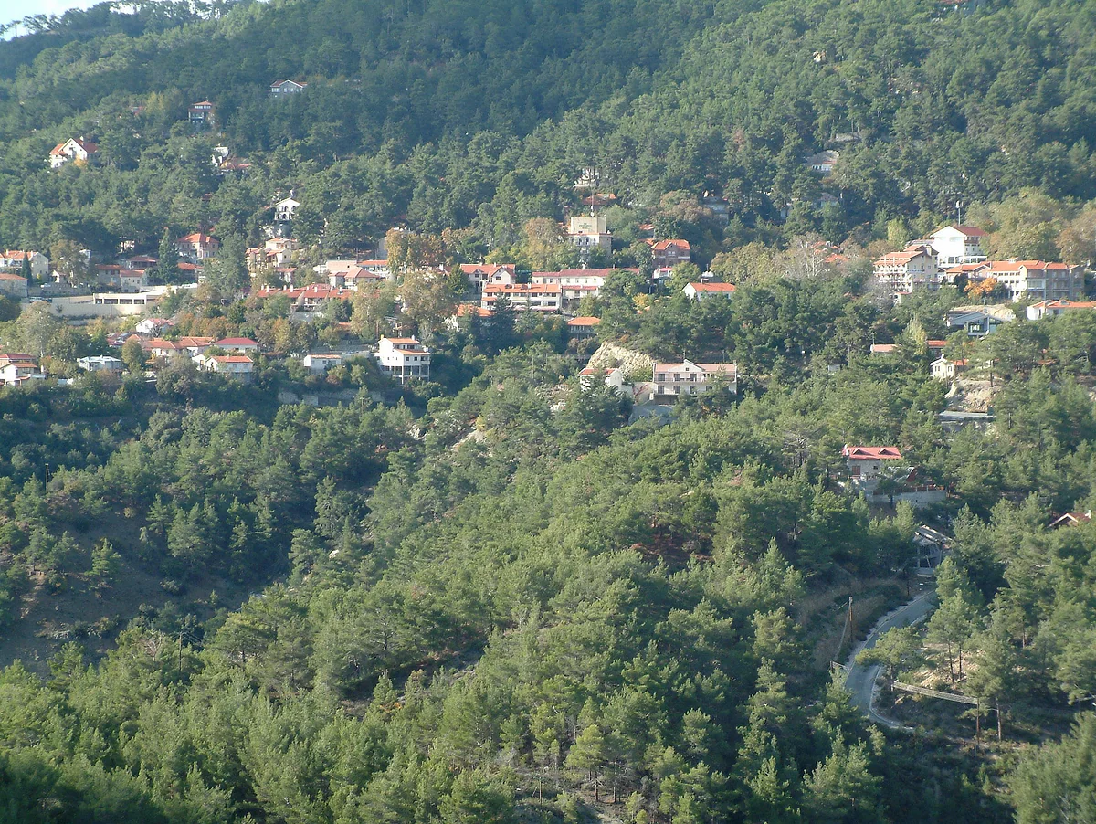 Platres, the Troodos summer resort, with its houses and hotels peeping out from a hillside thickly covered in pine trees