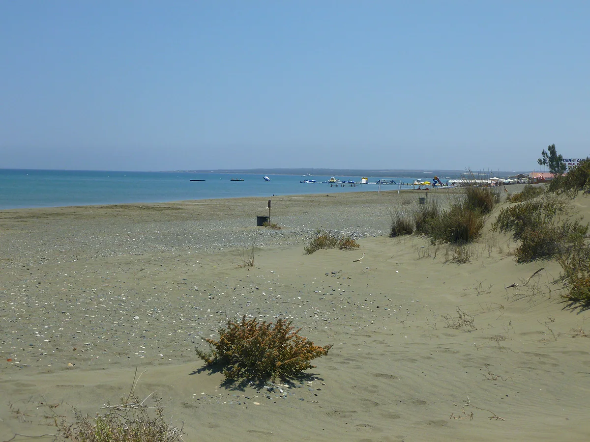 The wide sand of Lady's Mile at Akrotiri, with dune plants in front and a calm sea stretching to the horizon