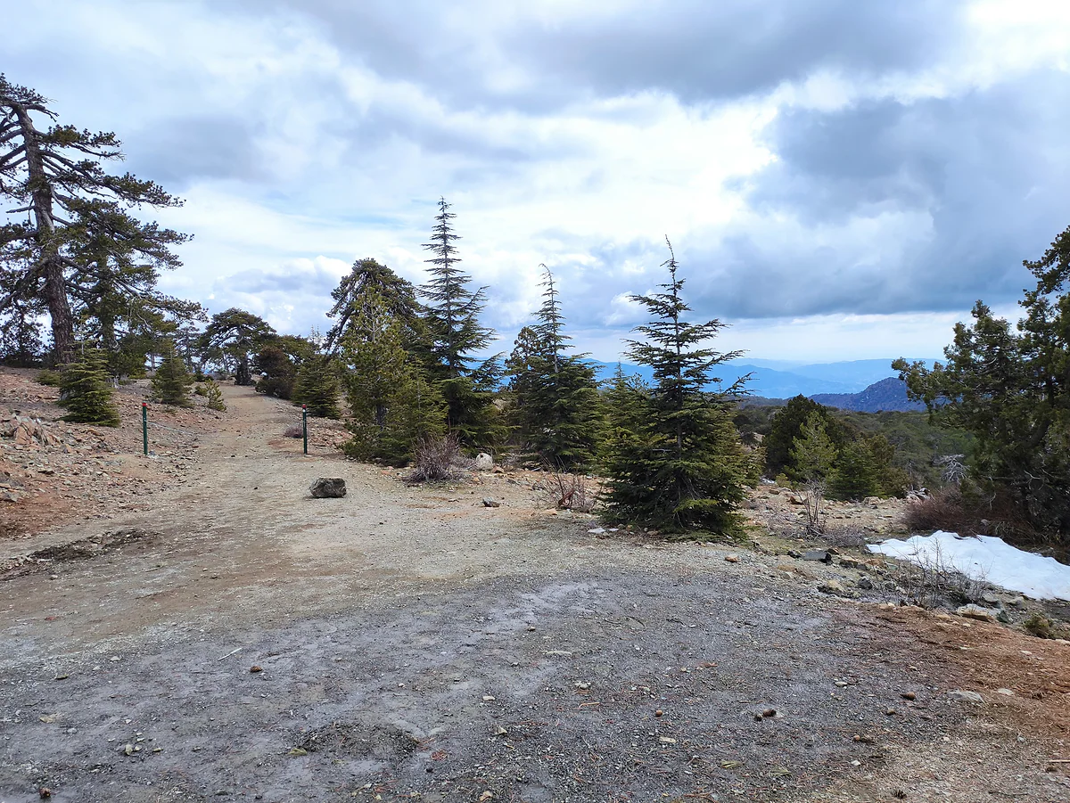 A clearing on the Artemis trail high on Mount Olympus, with pines and junipers, patches of snow and distant hills