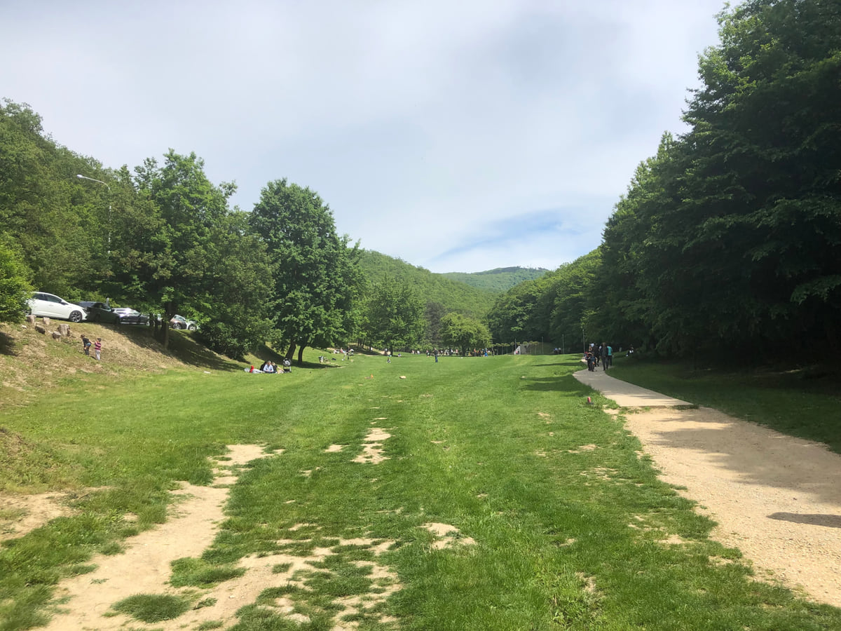 A meadow in Germia Park in Pristina, with a dirt track running between oak woods on a spring day