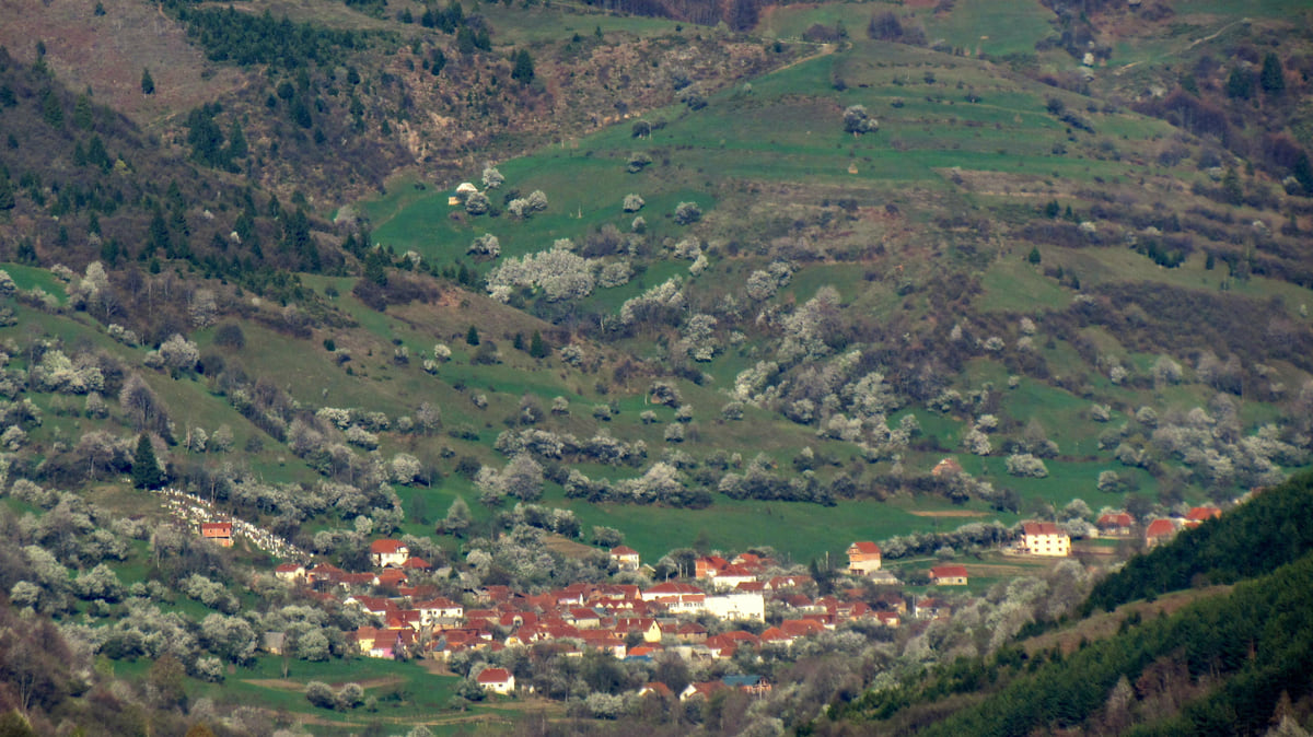 The red-roofed houses of Shtërpcë in a green valley floor, surrounded by meadows, blossoming trees and forest