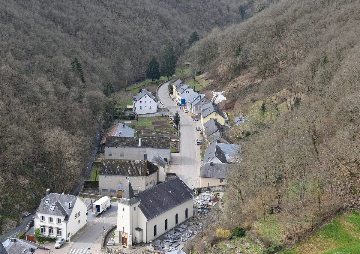The village of Brandenbourg at the bottom of a narrow wooded valley, seen from the ruins of its castle