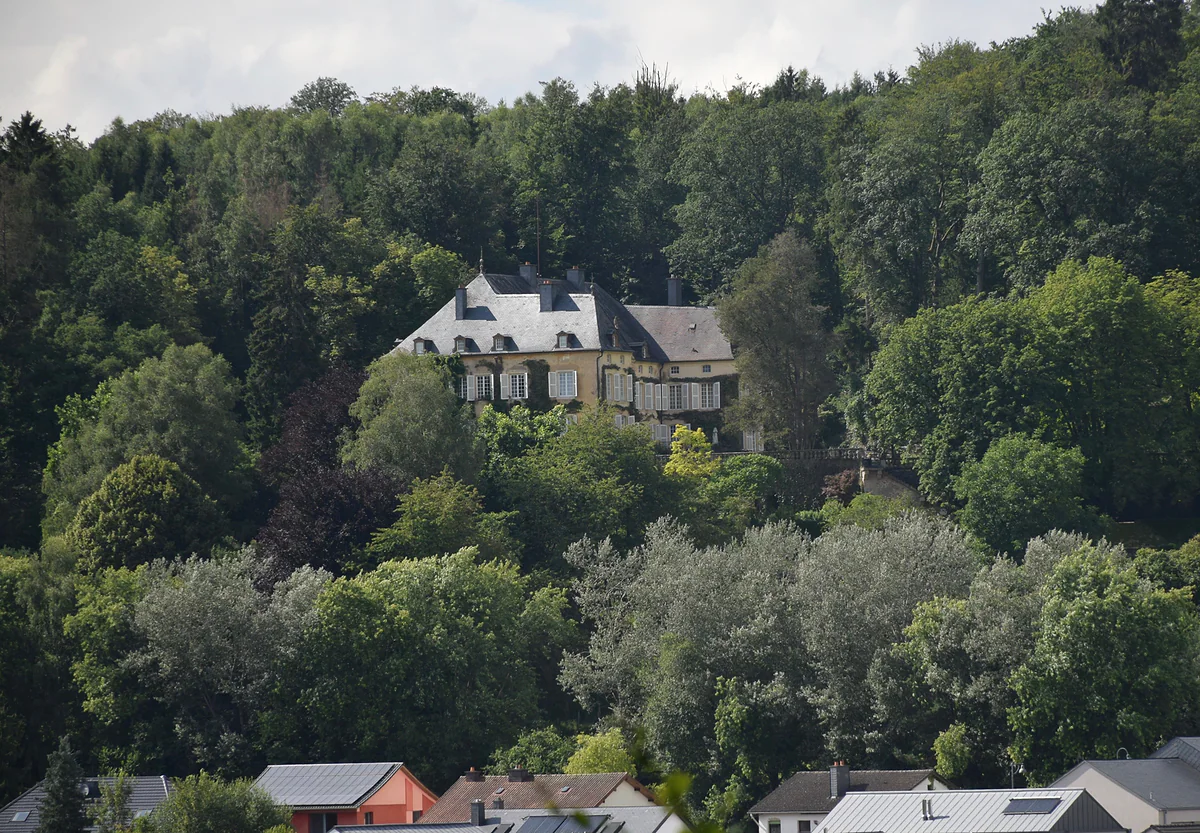 Fischbach Castle, a residence of the grand ducal family, peeping out between the trees of a wooded hill