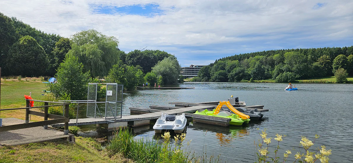 Weiswampach lake with a pedalo jetty, yellow flowers along the shore and woodland all around