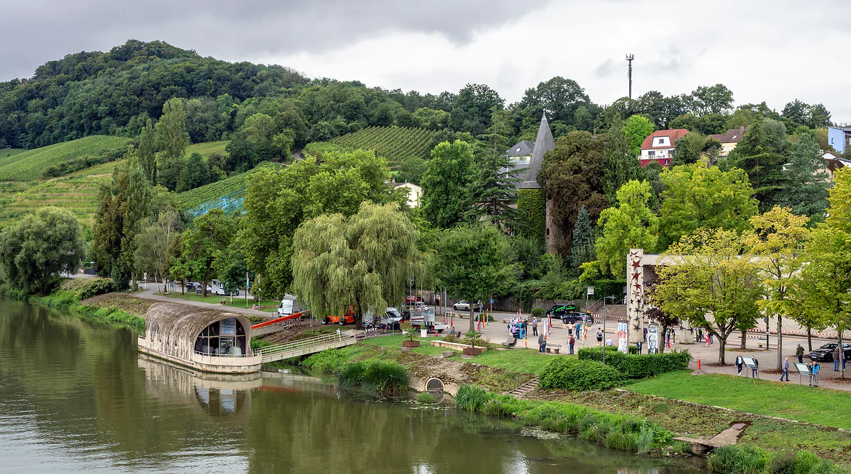 The Moselle riverside at Schengen, with willows, a pontoon and the village below vine-covered hills