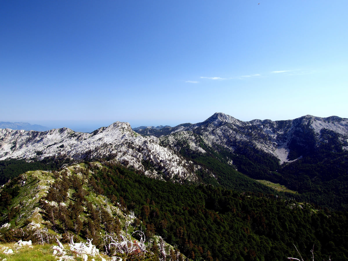 The limestone peaks of Mount Orjen with patches of snow and forested slopes above Herceg Novi, under a blue sky