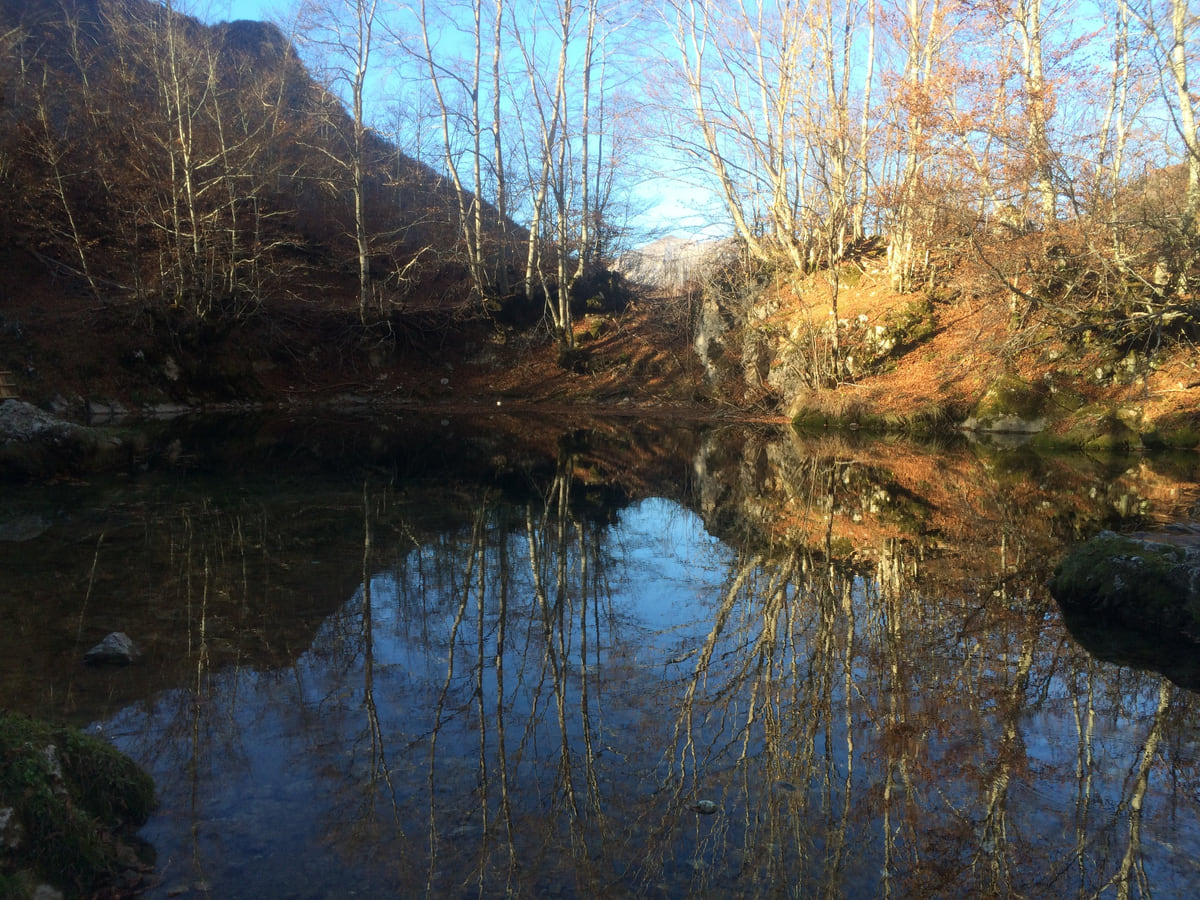 The Oko Skakavice spring near Vusanje in Prokletije, its still water reflecting bare trees in autumn