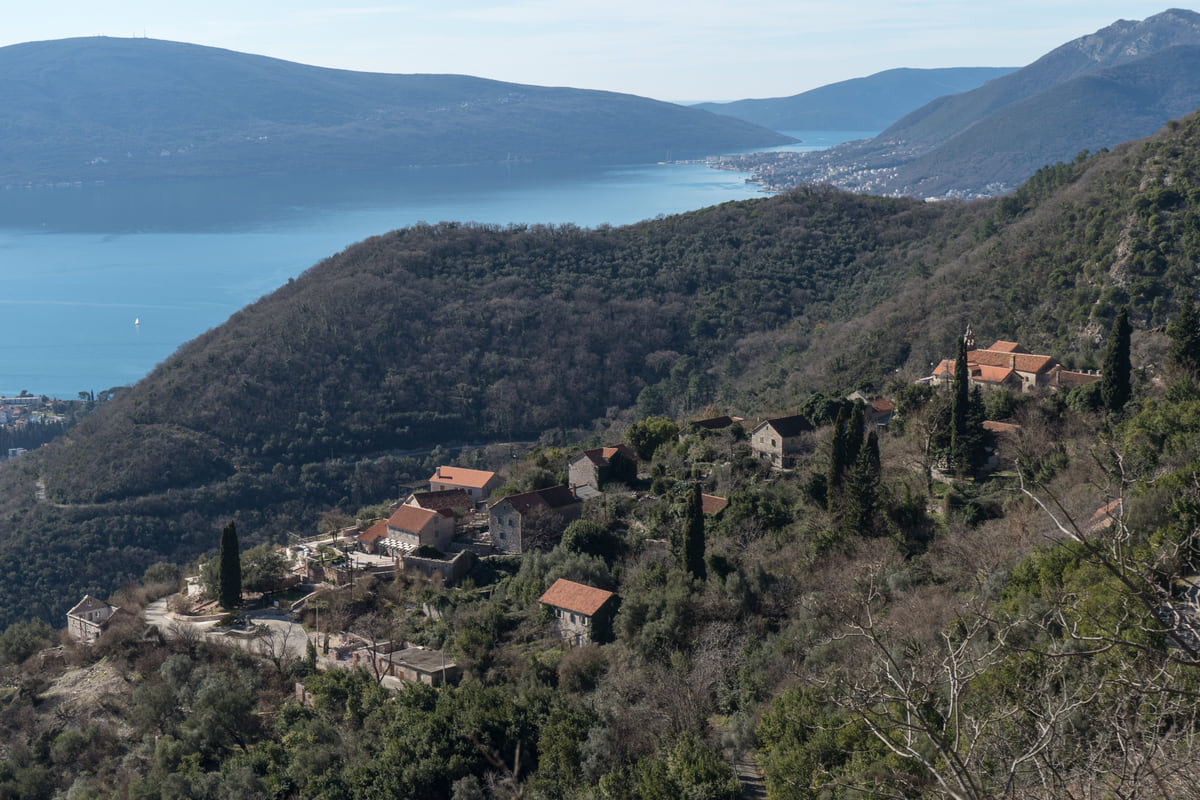 Stone houses of Gornja Lastva on the slopes of Vrmac, among olive trees and dry-stone walls, with Tivat Bay below