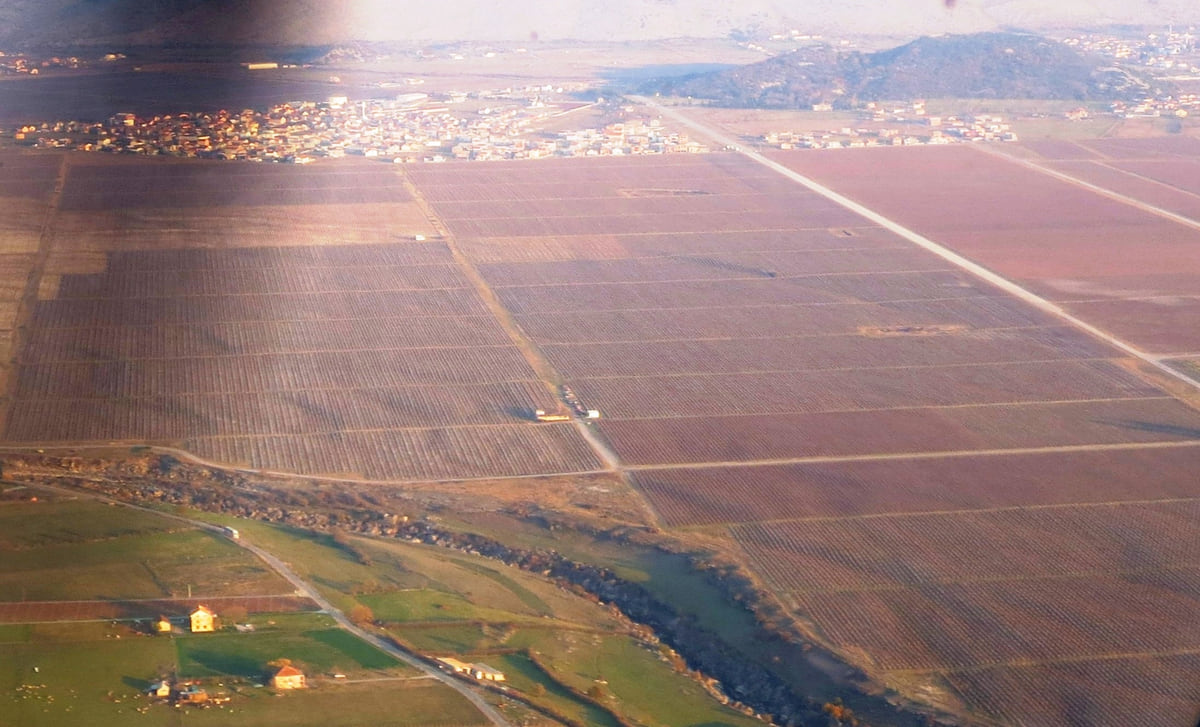 The vast Plantaže vineyard near Podgorica seen from a plane, with straight plots of vines, farm tracks and the Cijevna river in the foreground
